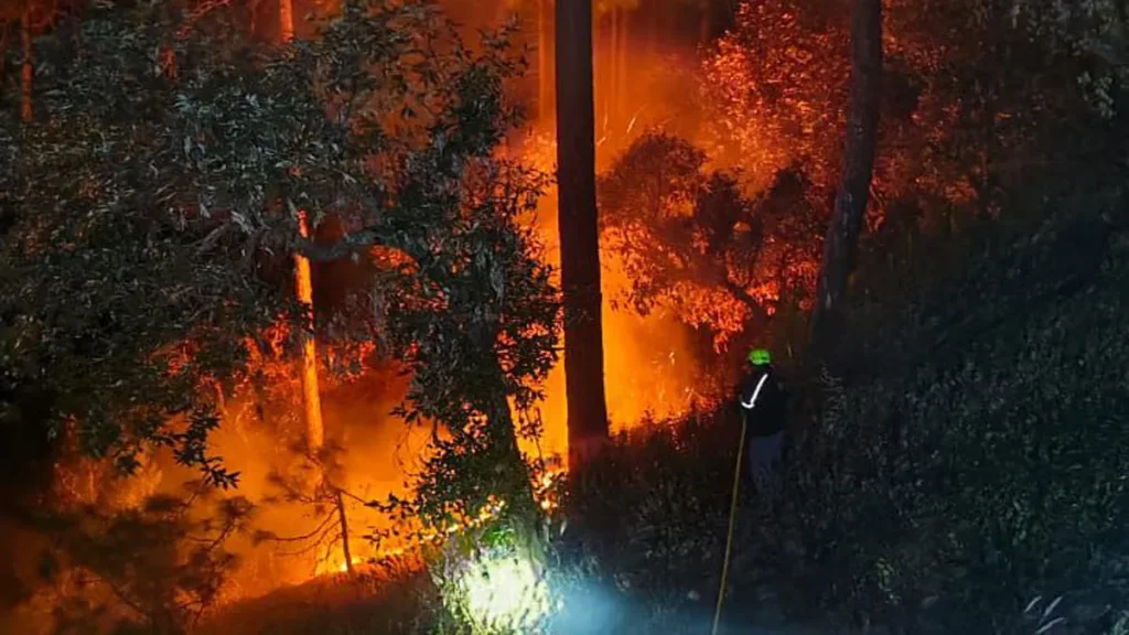 Uttarakhand forest fires