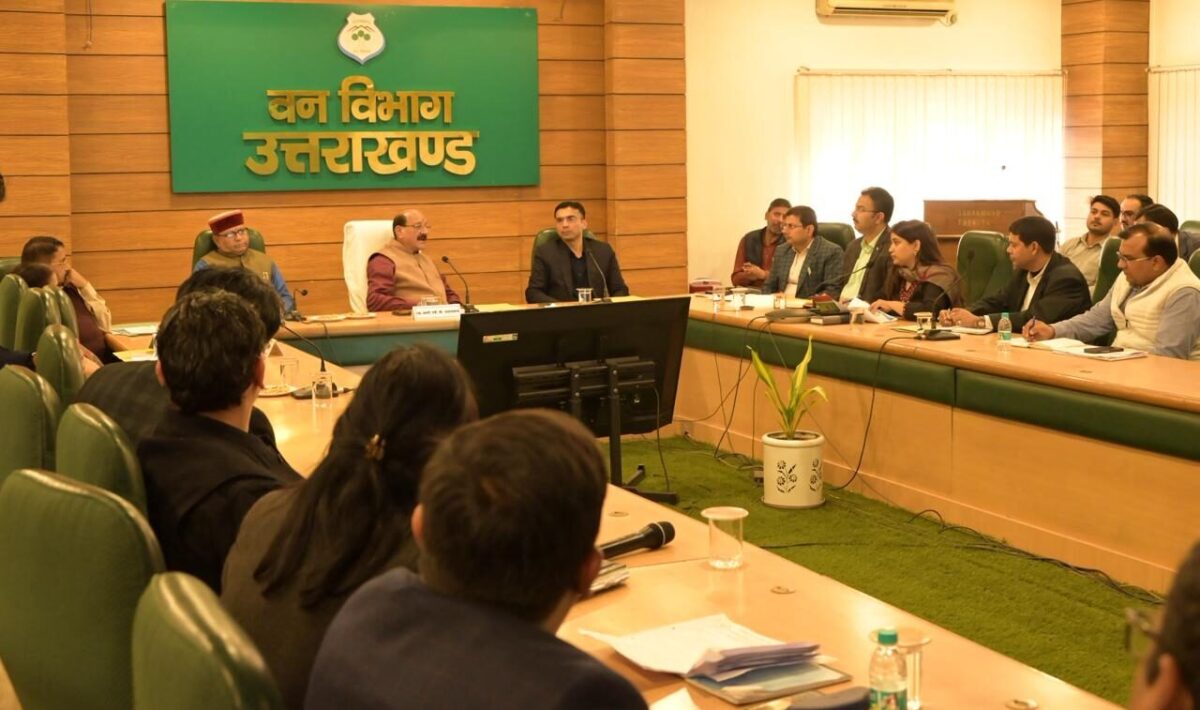 Dehradun Road Cutting