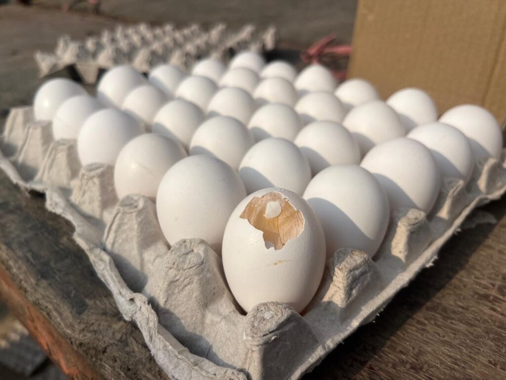 देहरादून DM सविन बंसल