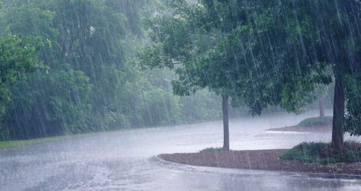 मानसून का नया अपडेट